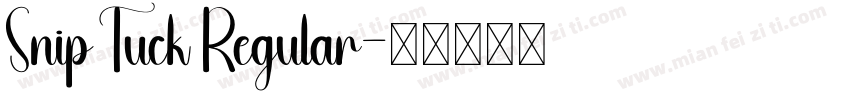 Snip Tuck Regular字体转换